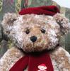 [USED] Harrods Christmas Plush Teddy Bear 1999 No. 9