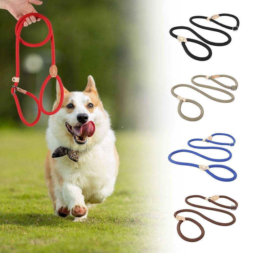 P Chain Dog Leash Slip Rope Dog Harness Durable Rope Belt  for Small Medium Large Dogs