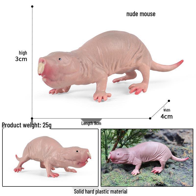 Rodent Cognition Toy: Naked Mole Rat Wildlife Model for Early Education