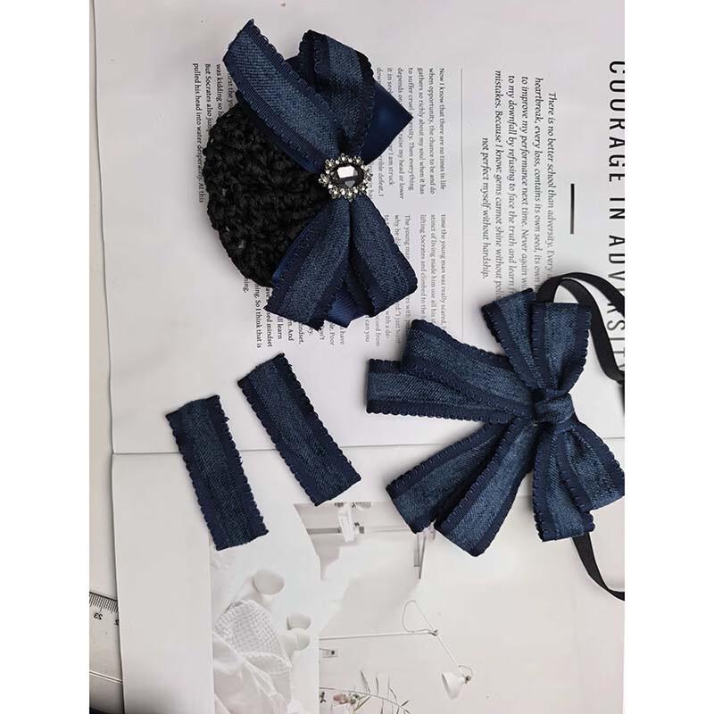 Professional Hair Bun Net & Clip Kit