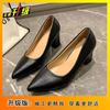 2025 Spring, Summer and Autumn Design Sense Niche with Skirt Not Tired Feet Single Shoes Small Pointed Thick Heel Temperament High Heels