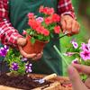 30 Stück Pflanzen Langzeit-Düngestäbchen Nährstoffstäbchen Universell Innen-Blumentopf Pflanzen Düngestäbe Verbesserer Garten Zubehör