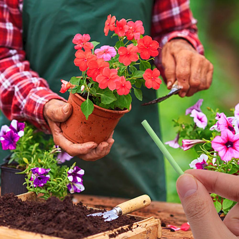 30 Stück Pflanzen Langzeit-Düngestäbchen Nährstoffstäbchen Universell Innen-Blumentopf Pflanzen Düngestäbe Verbesserer Garten Zubehör