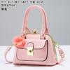 Hand bag to work multi-pocket shoulder bag women's bag straddling into the model