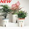 Self-Watering Resin Flower Pot for Hydroponic Plants - Ideal for Home and Balcony Gardening