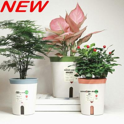 Boligdekorationer – Dekorative blomsterpotter