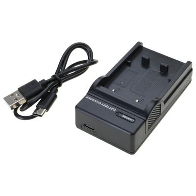 Accesorii pentru foto și video – Încărcătoare pentru camere