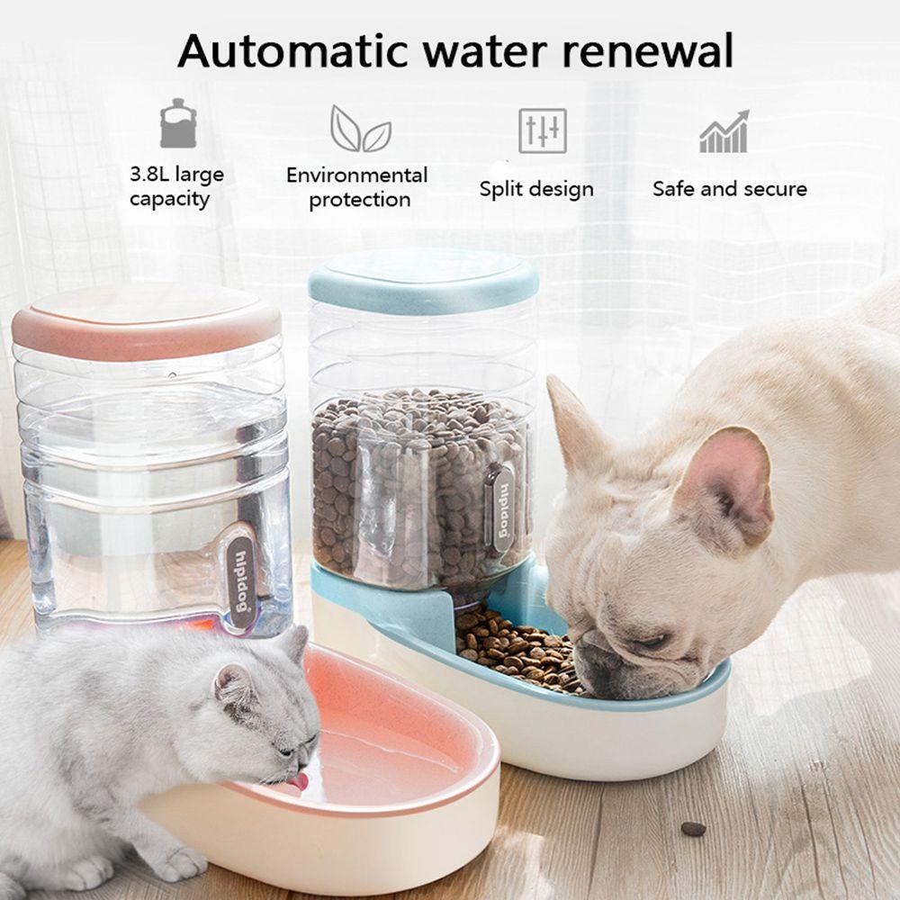 automatic cat feeder water