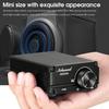 Nobsound 100W Subwoofer Digital Power Amplifier Audio Mini Amp (Black)