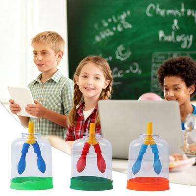 Modèle de démonstration de la fonction respiratoire pulmonaire Yousheng Dispositif de simulation de la respiration pulmonaire humaine 3D Aide aux expériences scientifiques éducatives pour les élèves de l'école