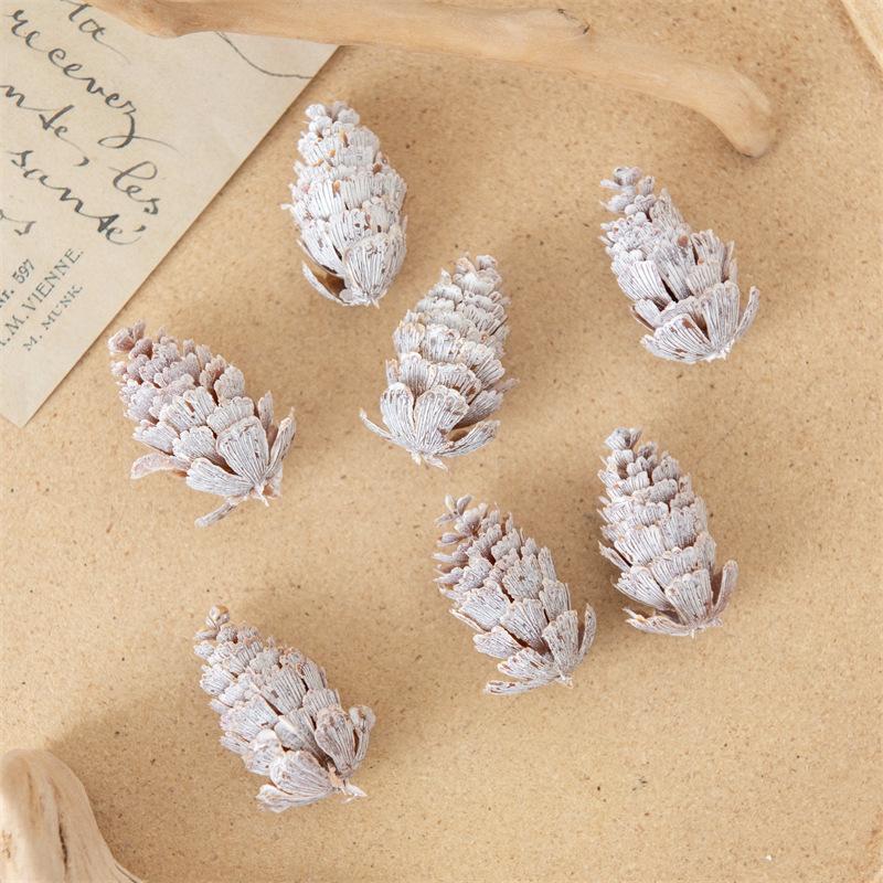 Рождественские украшения Суккуленты Зелень Сосновые шишки Пластиковые цветы Трава Листва Папоротники Реквизит для съемки Реквизит для съемки Украшение Искусственные цветы 5 pcs