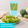 Plastic Refrigerator Transparent Fresh-keeping Container Coriander Mint Multi-purpose Vegetable Efficient Fresh-keeping Box