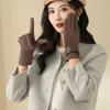 Plush Suede Leather Gloves Thicken Winter Driving Gloves Fashion  Gloves  Women
