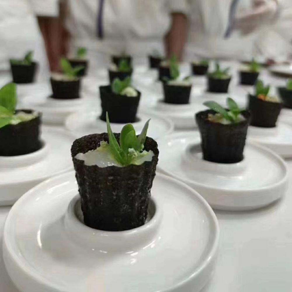 Baking Reusable Innovative Traditional Wooden Handle Pie Tee Maker Top Hats Mold Nyonya Bakeware