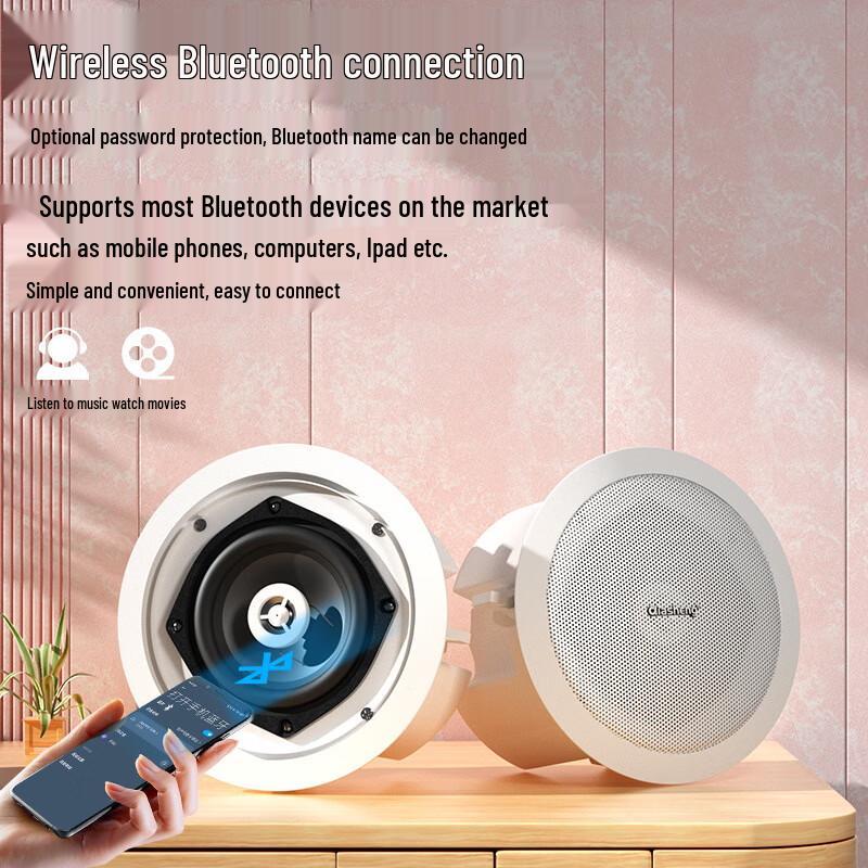 QIASHENG Commercial Bluetooth Ceiling Speaker System