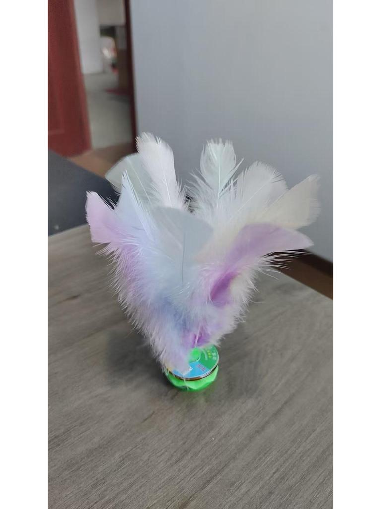Jianzi Coloré à Plumes pour Étudiants - Grand, Plume d'Oie