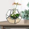 , Geometric Terrarium, for Outdoor Indoor Garen Tabletop Decor