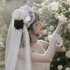 Rose Decoration Mini Top Chiffon Rose Hat Lace Retro Small Top Hat Gothic Lace Veil  Fashion Items