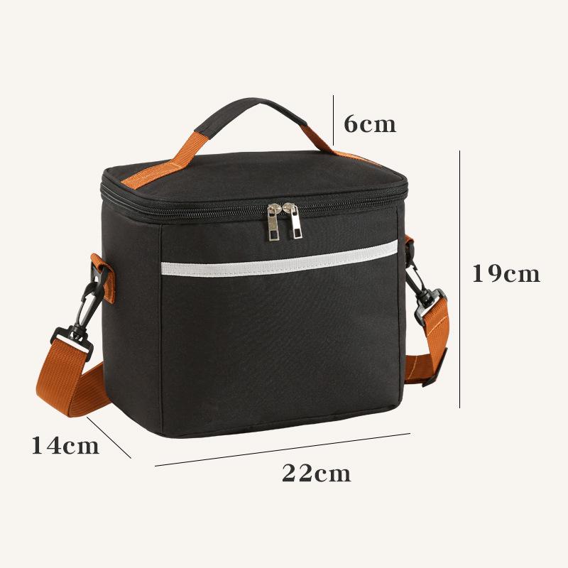Double-Layer Insulated Lunch Bag, Portable Insulated Lunch Box, Waterproof Picnic Insulated Bag with Adjustable Shoulder Strap
