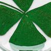 Real Four Leaf Clover Good Luck Pocket Token, Preserved, 1.25” (CLOVER01)
