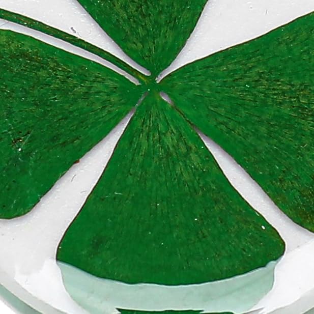 Real Four Leaf Clover Good Luck Pocket Token, Preserved, 1.25” (CLOVER01)