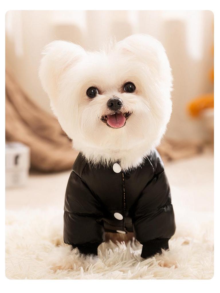 Graphene Black Gold Series Dog Down Jacket for Autumn/Winter - Warm Pet Clothes for Small Breeds Like Teddy, Bichon, and Pomeranian