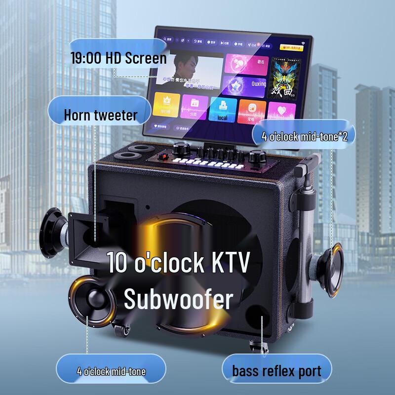 Sansui MC106 All-in-One KTV Bluetooth Speaker CN Plug (adapter Included)