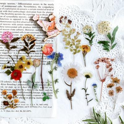 40pcs Botanical PET Stickers Floral Decals for Journal Scrapbooking Plant Creative Handheld Materials DIY Decorative Stickers