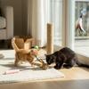 Cat Feathers Teaser Wand Replacement Heads Extendable Design for Pet Entertainment
