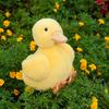 Cute Yellow Duck Plush Toy Adorable Stuffed Animal For Kids Birthday And Holiday Gift