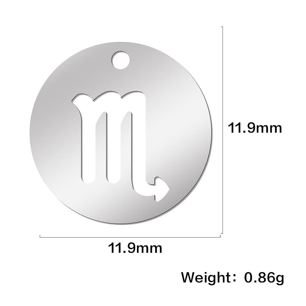 Zodiac Floating Charm for Jewelry Making Stainless Steel Aries Pisces Gemini Aquarius Cancer Twelve Constellation Pendant