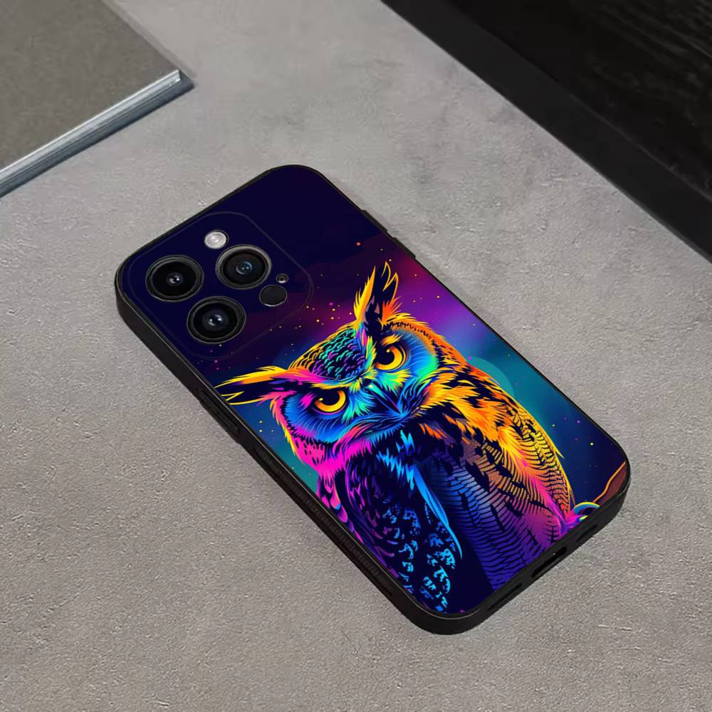 Cute C-Colorful Owl B-Bird Phone Case For iPhone 17,16,15,14,13,12,11 Plus,Pro Max,XS,X,XR,SE,Mini,8,7,Soft Silicone Black Cover