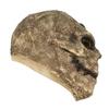 Exclusive Skull Masks: Horror Headgear for Halloween, Masquerade, and Cosplay 
