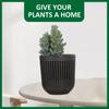 6pcs Flower Pots Hanging Planter for Succulent Plant Wall Mounted Mini Planter with Removable Handle Office Decorations