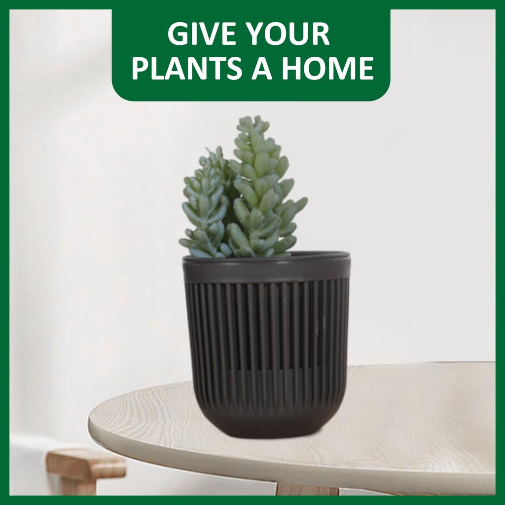 6pcs Flower Pots Hanging Planter for Succulent Plant Wall Mounted Mini Planter with Removable Handle Office Decorations