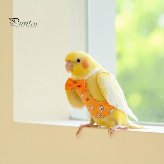 Parrot Hygiene Accessory Diaper, Cute Cartoon Print Bird Diaper with Bow, Reusable Nappy Flight Suit for Cockatiels Lovebirds Budgerigars Clothing