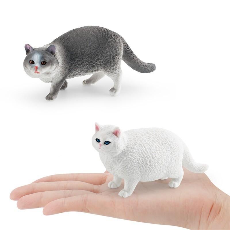 Realistic Short-haired Persian Cat Model For Kids Educational Pet Decoration