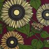 Dyeing Anbo Tenugui Authentic Dyed Cotton Tokuoka Made in Japan 35cm x 100cm "Sonnenblume Wine" 100%