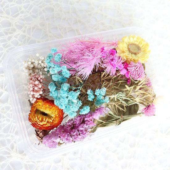 Dried Flowers Home Photography Props DIY Ornament Craft Specimen Accessories