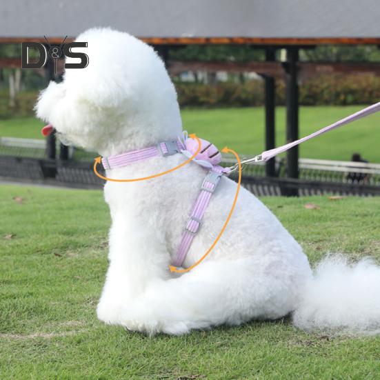 Zestaw szelek i smyczy dla kota Regulowane szelki dla zwierząt domowych z kreskówkową pszczołą dla małych i średnich psów i kotów Szelki i smycz dla zwierząt domowych odporne na ucieczki do spacerów na świeżym powietrzu