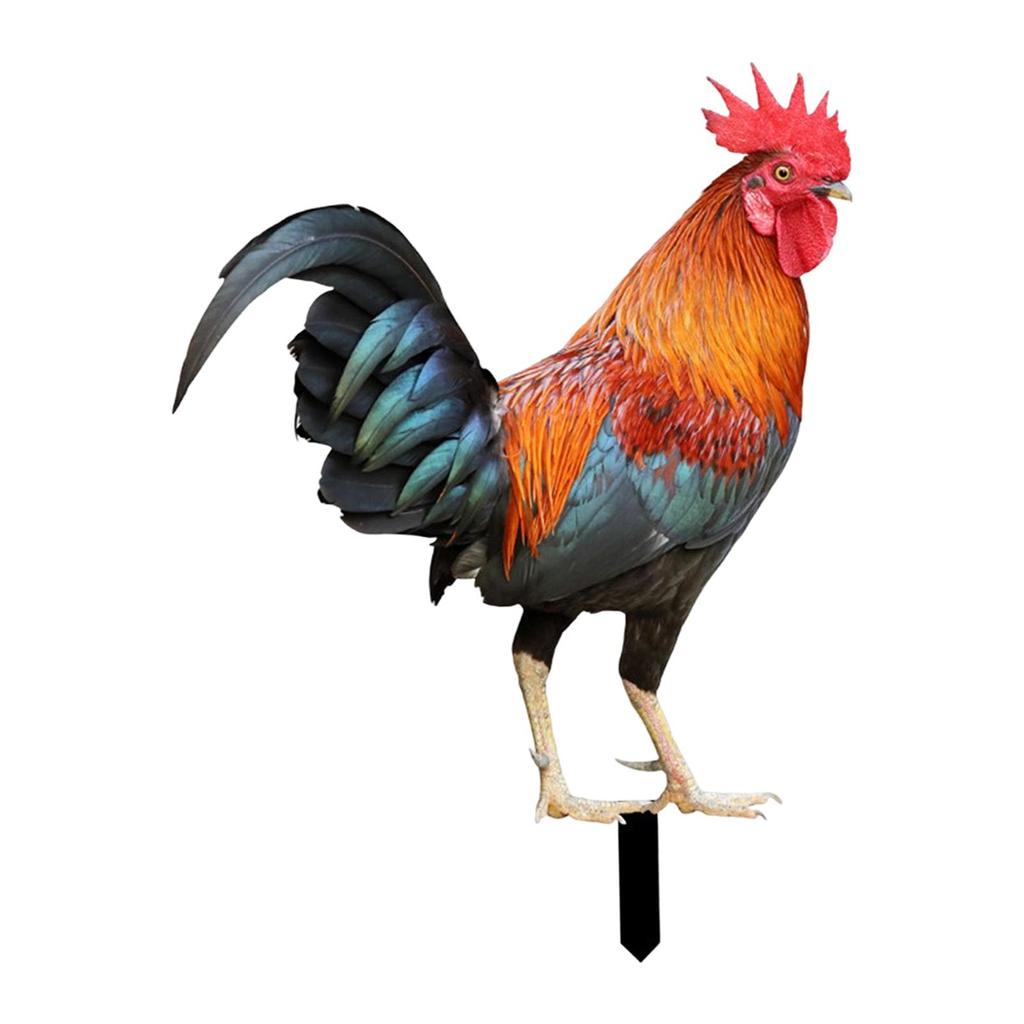 Rooster Figure Acrylic Standing Garden Stake Ornamental Animal Yard Sign Sculpture for Patio and Lawn Decor