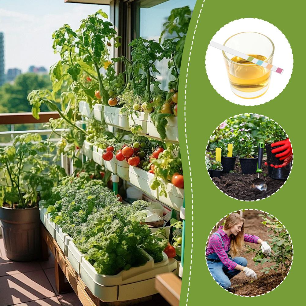 100x Soil Meter PH Tester Kit - Water Moisture Light Test Instrument. Soil Acidity Testing Strips for Garden Lawns Plants.