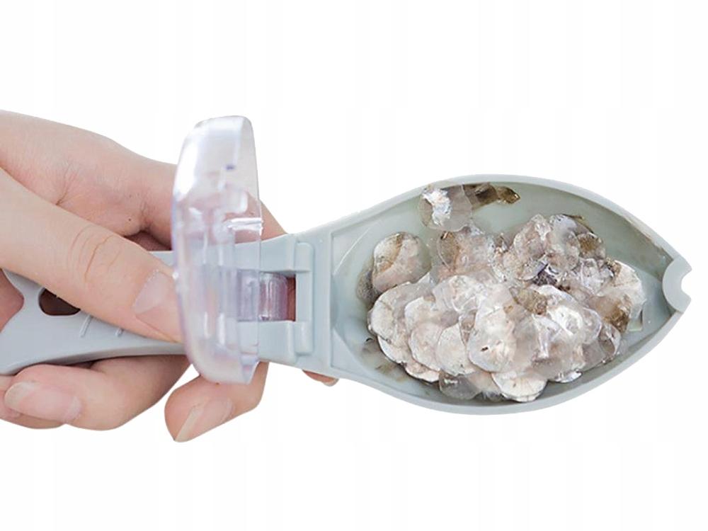 Fish Scaler (200) Gab_A
