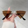 Vintage Triangle Sunglasses  New In Retro Metal Rim Outdoor Casual Shades Women Luxury Brand Design Decor Sun Glasses