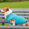 Roupa e sapatos – Casacos para cães