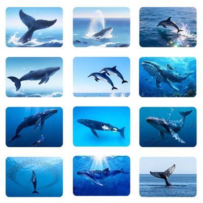 Dreamlike Ocean Scenery Magnetic Crystal Glass Refrigerator Stickers: Dolphin, Whale, and Marine Animals