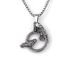 European and American Retro Gothic Hip Hop Punk Crow Pendant Men's Necklace Titanium Steel Chain