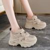 Women's Shoes 2025 New Autumn Mesh Casual Breathable Dad Shoes Women's Height Increasing Thick Soled Sports Shoes