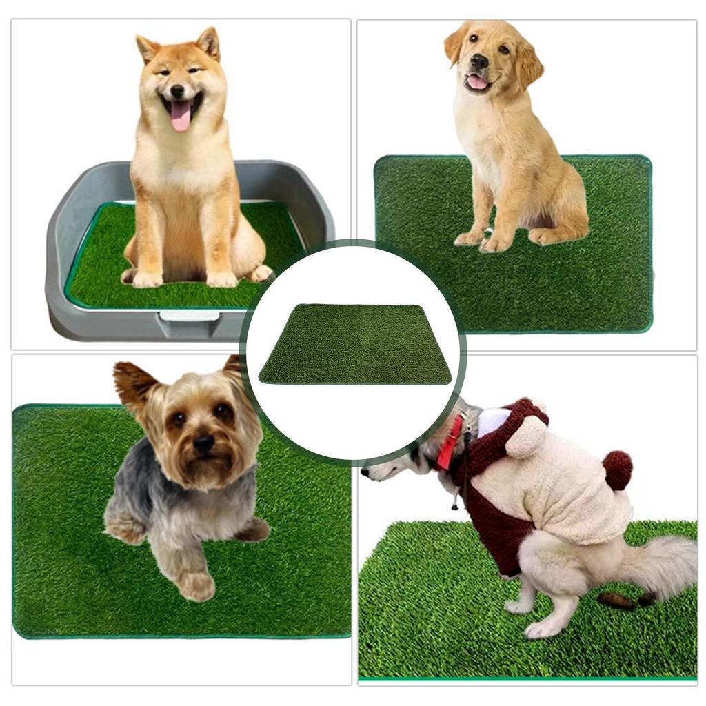 Artificial Dog Grass Pee Pad for Elder Dogs Home Reusable Potty Mat Training