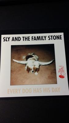 CD SLY & THE FAMILY STONE - Jeder Hund hat seinen Tag CDSGP0125 Sleeping Giant 1994 UK Rock Gebraucht
